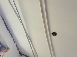 隐蔽工程 验收