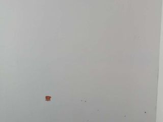 墙、顶面腻子批嵌