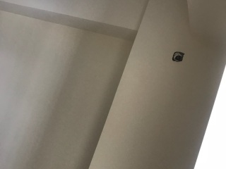 墙、顶面腻子批嵌