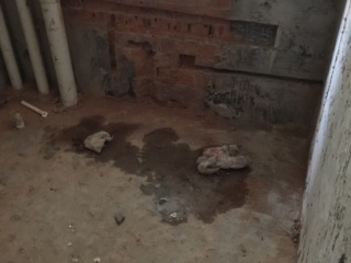 水、电管开槽施作