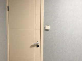 成品门及墙纸铺贴