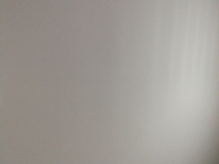 墙、顶面乳胶漆