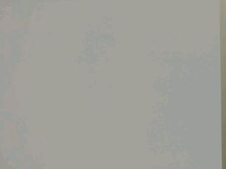 成品门及墙纸铺贴