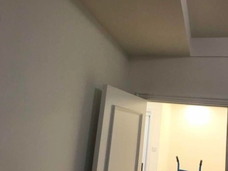 成品门及墙纸铺贴