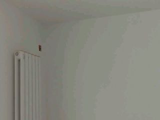 墙、顶面乳胶漆
