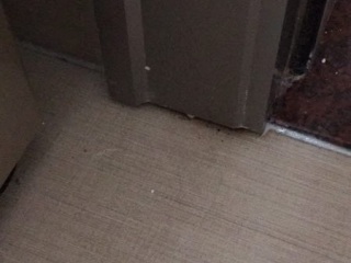 竣工验收