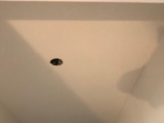 木工吊顶施工