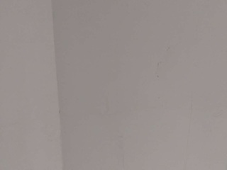 墙、顶面腻子批嵌