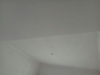 墙、顶面腻子批嵌
