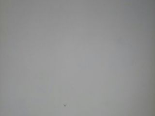 现场木制品造型施作