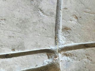 日常巡检