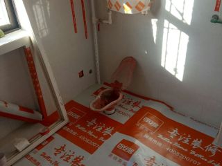 日常巡检