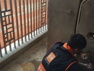 日常巡检
