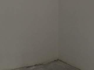 墙、顶面乳胶漆