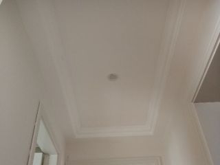 墙、顶面乳胶漆