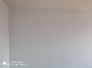 墙、顶面乳胶漆
