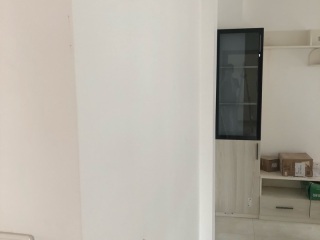 墙、顶面腻子批嵌