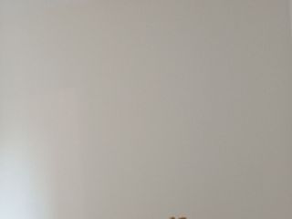 墙、顶面腻子批嵌
