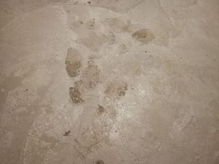 地砖铺贴及地面找平施作