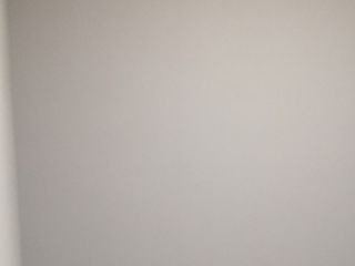 墙、顶面乳胶漆