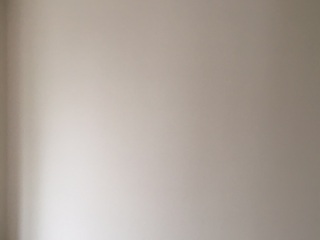 墙、顶面腻子批嵌