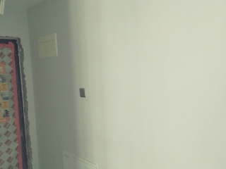 墙、顶面乳胶漆