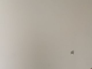 成品门及墙纸铺贴