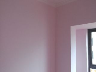 墙、顶面乳胶漆