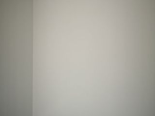 墙、顶面乳胶漆