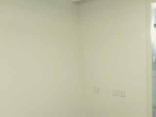成品门及墙纸铺贴