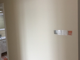 墙、顶面腻子批嵌