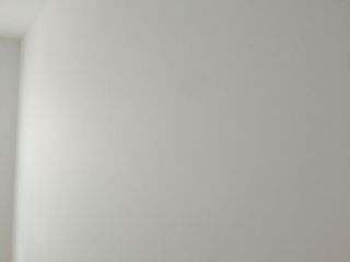 墙、顶面乳胶漆
