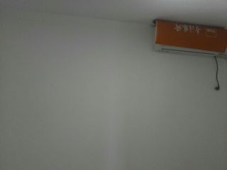 墙、顶面乳胶漆