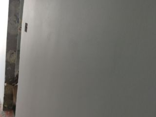 墙、顶面乳胶漆