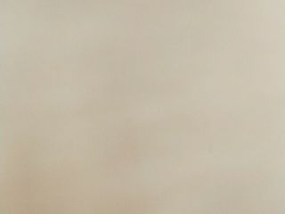 墙、顶面乳胶漆