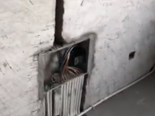 日常巡检