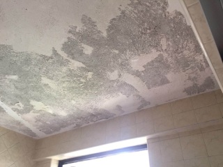 木工吊顶施工