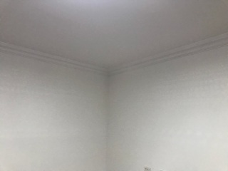 墙、顶面乳胶漆