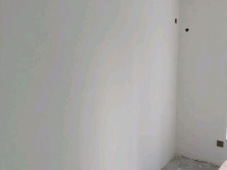 墙、顶面乳胶漆