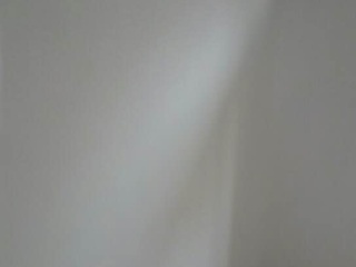 墙、顶面腻子批嵌