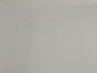 墙、顶面腻子批嵌
