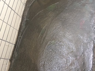 地砖铺贴及地面找平施作