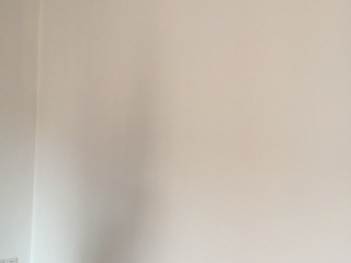 墙、顶面乳胶漆