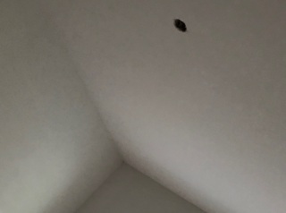 墙、顶面腻子批嵌