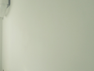 墙、顶面乳胶漆