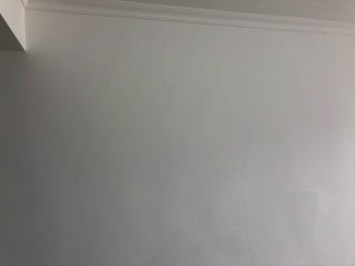 墙、顶面乳胶漆