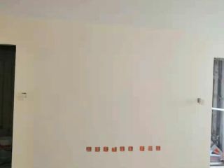 墙、顶面乳胶漆