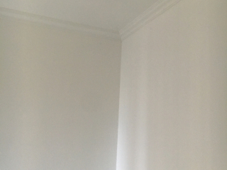 墙、顶面乳胶漆