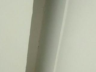 墙、顶面乳胶漆及墙纸铺贴