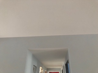 墙、顶面乳胶漆